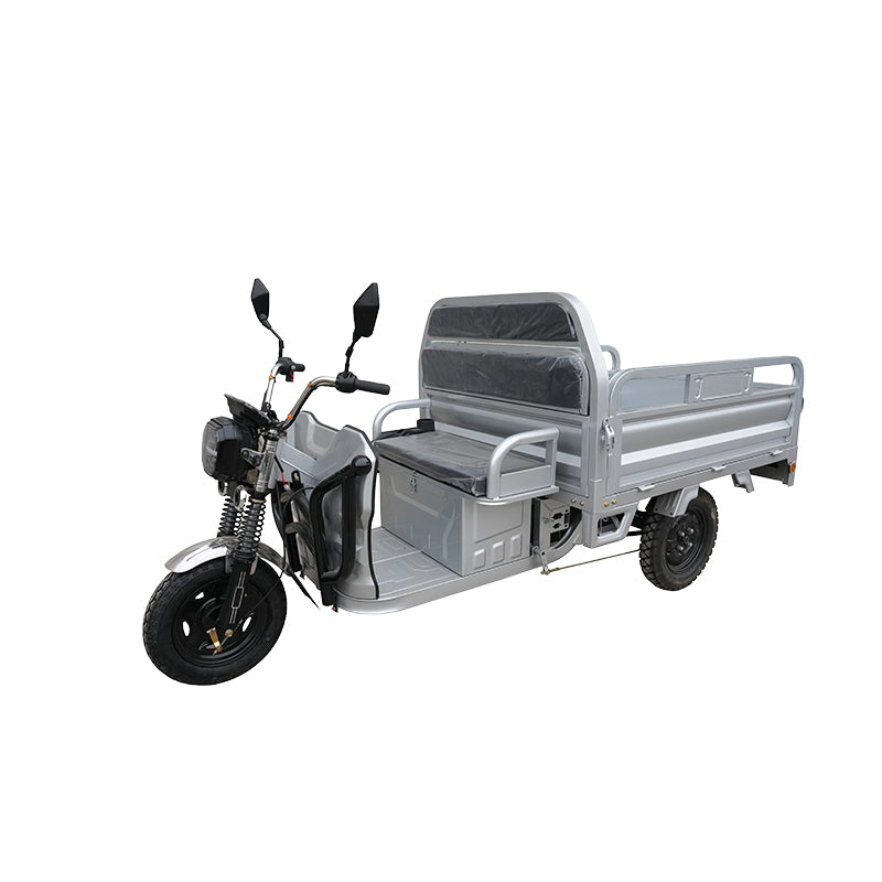 A32 2000W Electric Tricycle with Lead-Acid Battery Open 3 Wheels Cargo Scooter for Adults