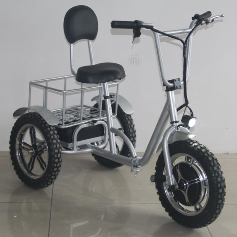 EEC 500w Brushless Hub Motor 48v 12ah Lead Acid Battery 25km/h Electric Mobility Scooter 3 Wheeled Mobility Scooter