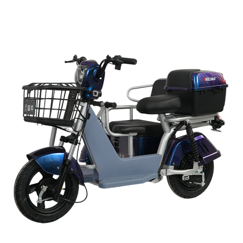 2025 New China Wholesale 500w 48v23A Lead Acid Battery 25km/h Three Wheel Electric Motor for Motorcycle Mini Mobility Scooters