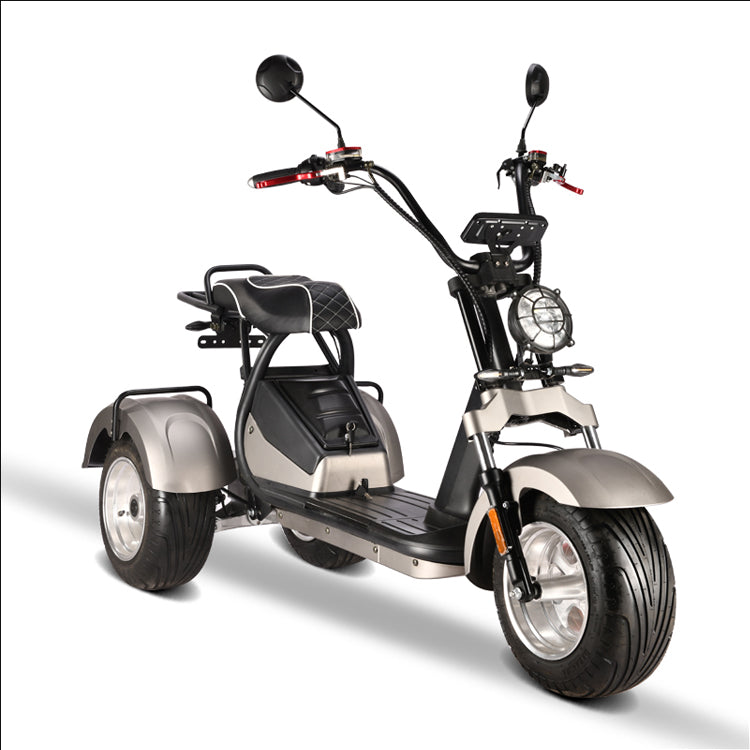 Amoto 2 Passenger 3 Wheel Electric Scooter Dual Motor 2*2000w Eec Electric Motorcycles Citycoco Fast Speed 3 Wheel Aluminum Fork