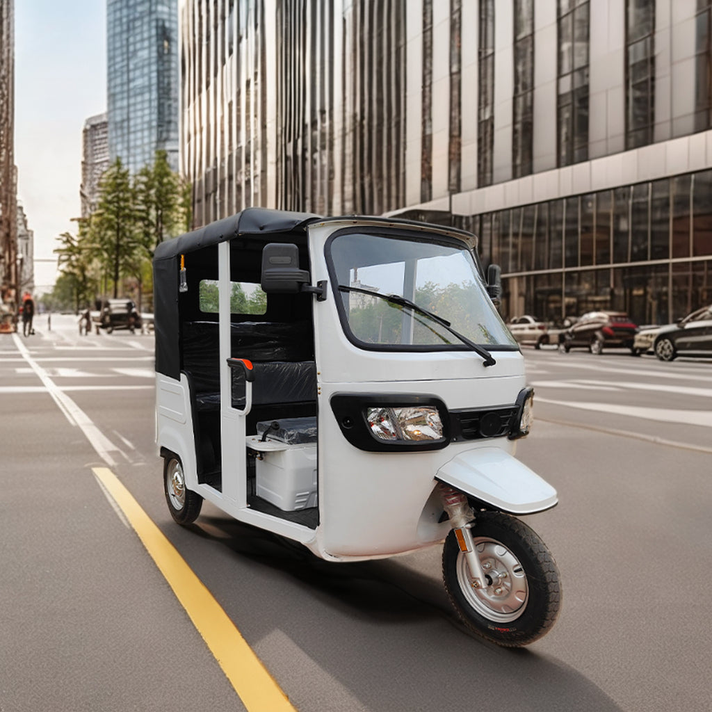 4 Seater Electric Rickshaw 48v Motor Electric Tricycle Lead Acid Battery Powered Metal Roof