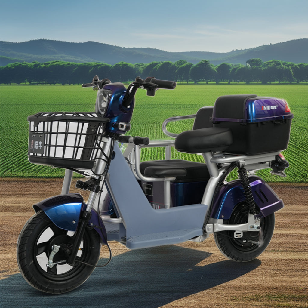 2025 New China Wholesale 500w 48v23A Lead Acid Battery 25km/h Three Wheel Electric Motor for Motorcycle Mini Mobility Scooters
