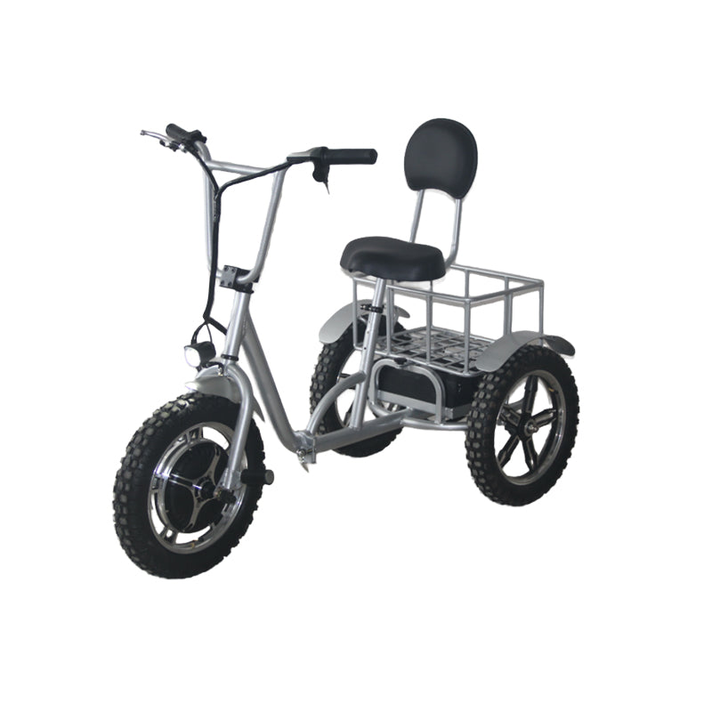 EEC 500w Brushless Hub Motor 48v 12ah Lead Acid Battery 25km/h Electric Mobility Scooter 3 Wheeled Mobility Scooter