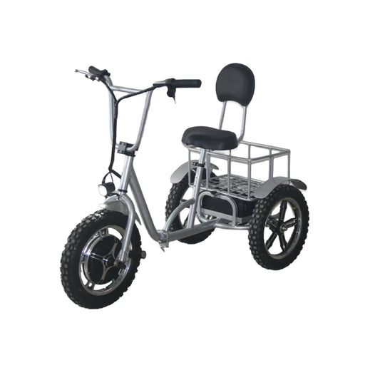 EEC 500w Brushless Hub Motor 48v 12ah Lead Acid Battery 25km/h Electric Mobility Scooter 3 Wheeled Mobility Scooter