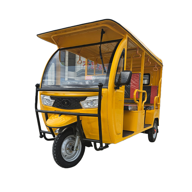 2000W Sightseeing Passenger Electric Tricycle with Lead-Acid Battery Open Body 3 Wheels for Adults Scenic Spot Use