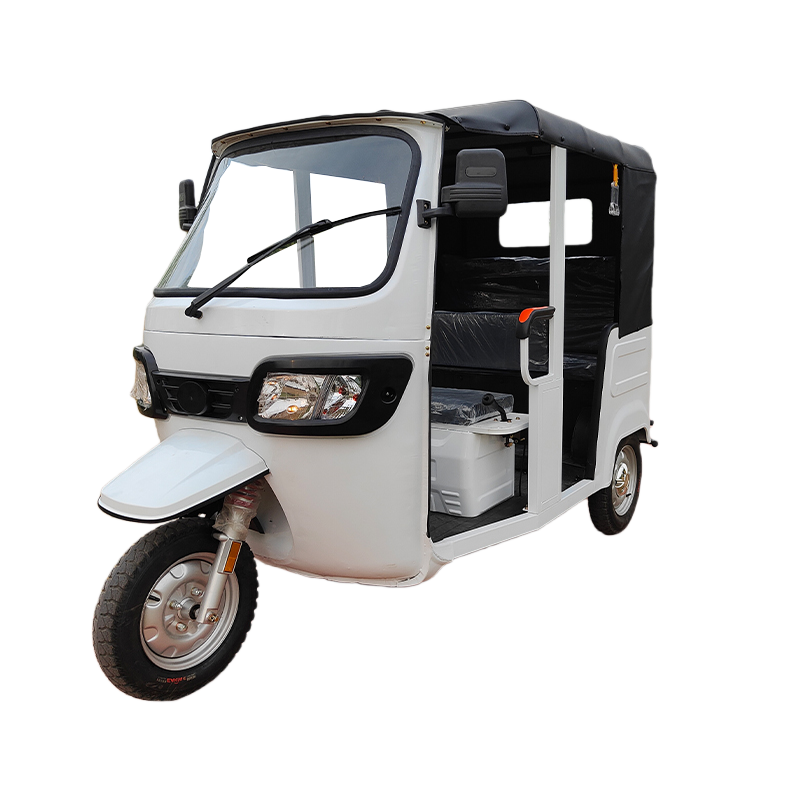 4 Seater Electric Rickshaw 48v Motor Electric Tricycle Lead Acid Battery Powered Metal Roof