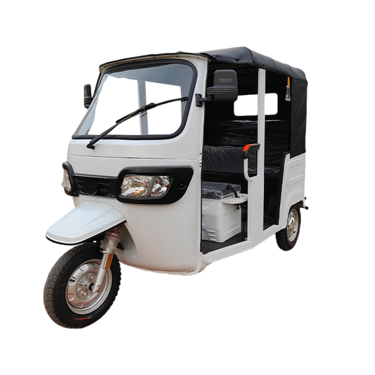 4 Seater Electric Rickshaw 48v Motor Electric Tricycle Lead Acid Battery Powered Metal Roof