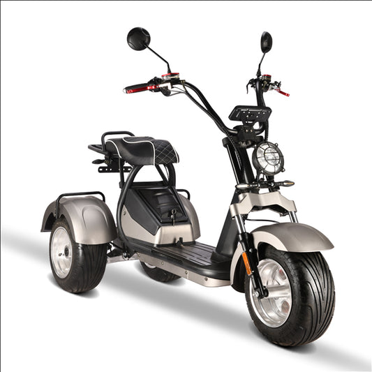 Amoto 2 Passenger 3 Wheel Electric Scooter Dual Motor 2*2000w Eec Electric Motorcycles Citycoco Fast Speed 3 Wheel Aluminum Fork