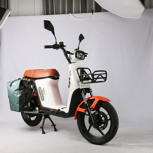 Electric Motorcycle Big Seat Powrful 48V 350W Lead-Acid Battery High Speed Rear Hub Brushless Motor Citycoco Moped Scooter Bike