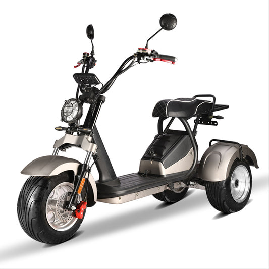 Amoto 2 Passenger 3 Wheel Electric Scooter Dual Motor 2*2000w Eec Electric Motorcycles Citycoco Fast Speed 3 Wheel Aluminum Fork