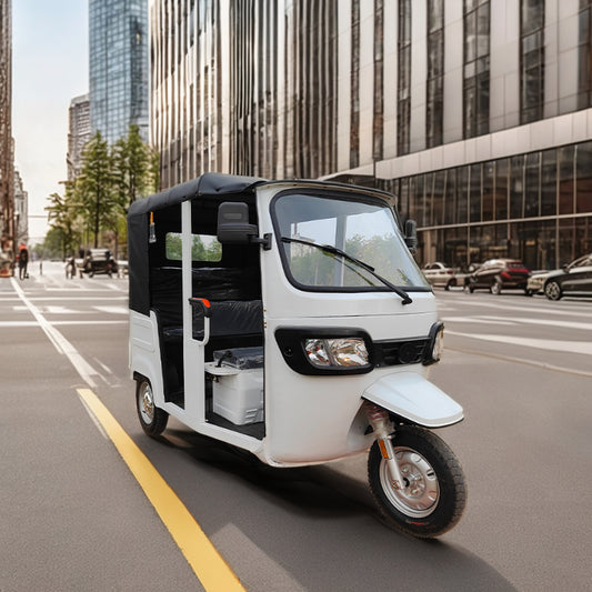 4 Seater Electric Rickshaw 48v Motor Electric Tricycle Lead Acid Battery Powered Metal Roof