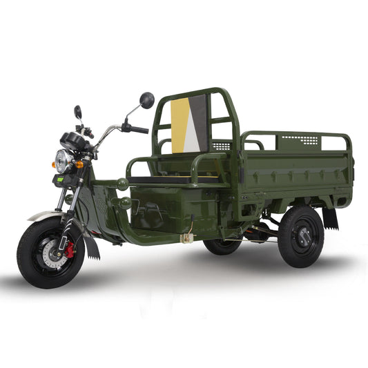 Good Sell Three Wheel Electric Scooter Cargo EEC 1000w 60v 20ah Electric Cargo Scooter With Box